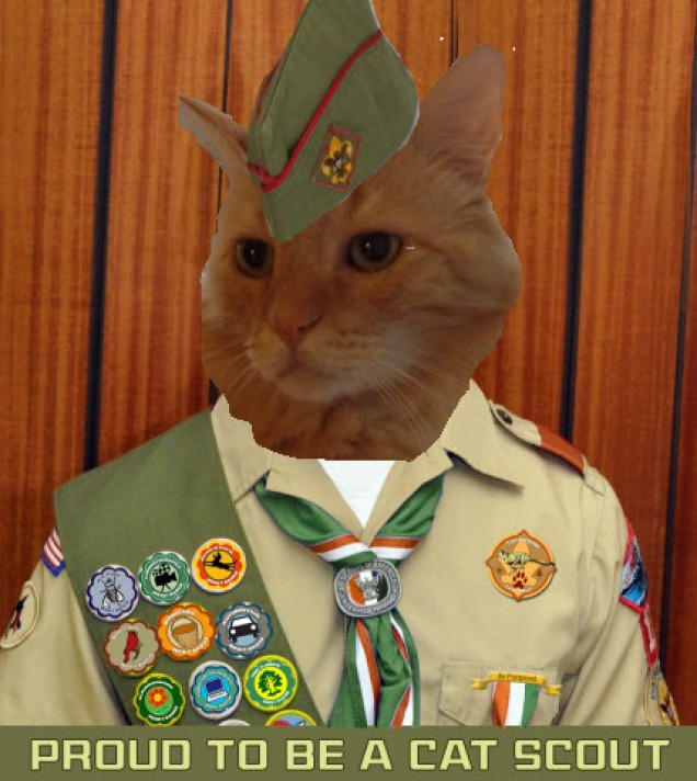 cat scouts 2